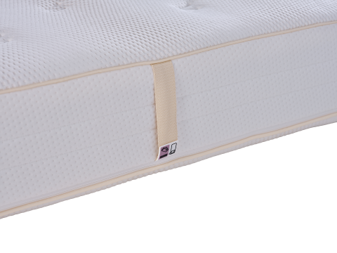 Eastborn Birds Sparrow matras 5 Eastborn Birds Sparrow matras
