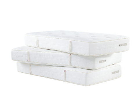 Eastborn Birds Sparrow matras 4 Eastborn Birds Sparrow matras