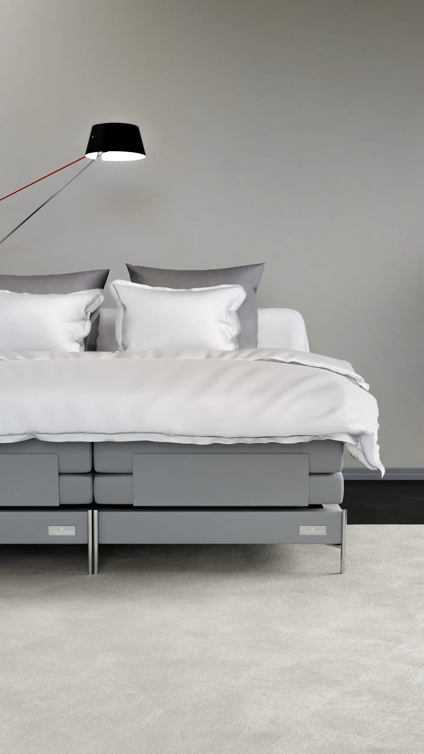 Carpe Diem Salto 4 carpe diem salto