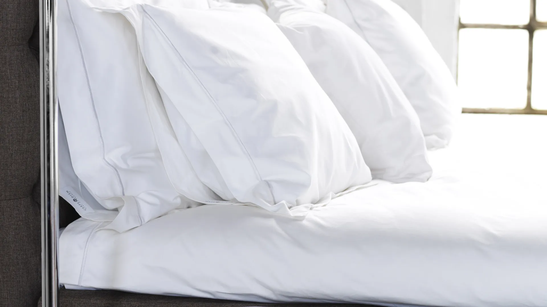 Carpe Diem Skafto 2 Carpe Diem Skafto - Afbeelding 2