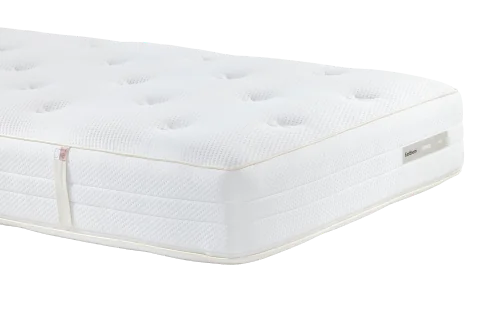 Eastborn Birds Sparrow matras