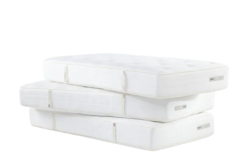 Eastborn Birds Sparrow matras