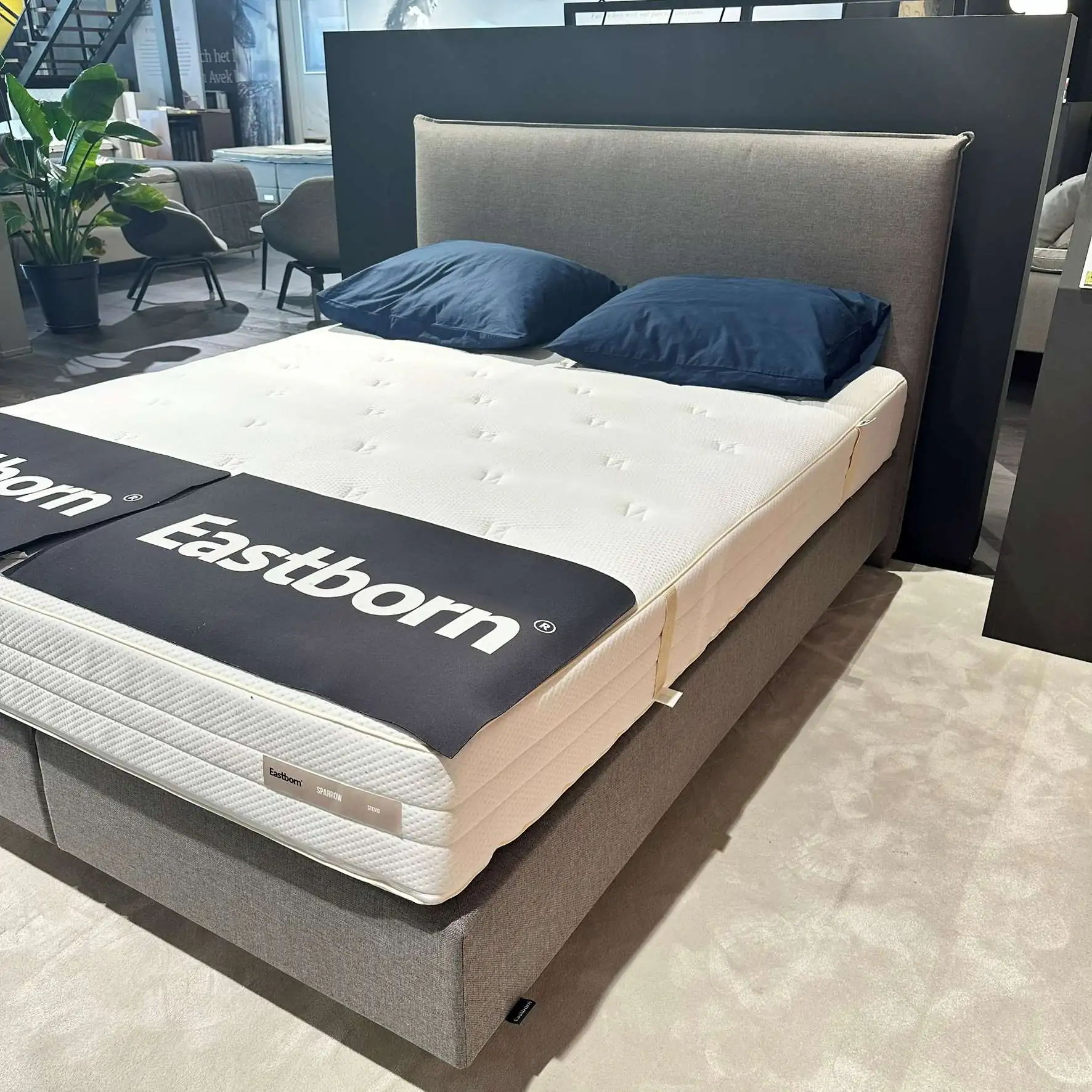 Eastborn Go Showroommodel