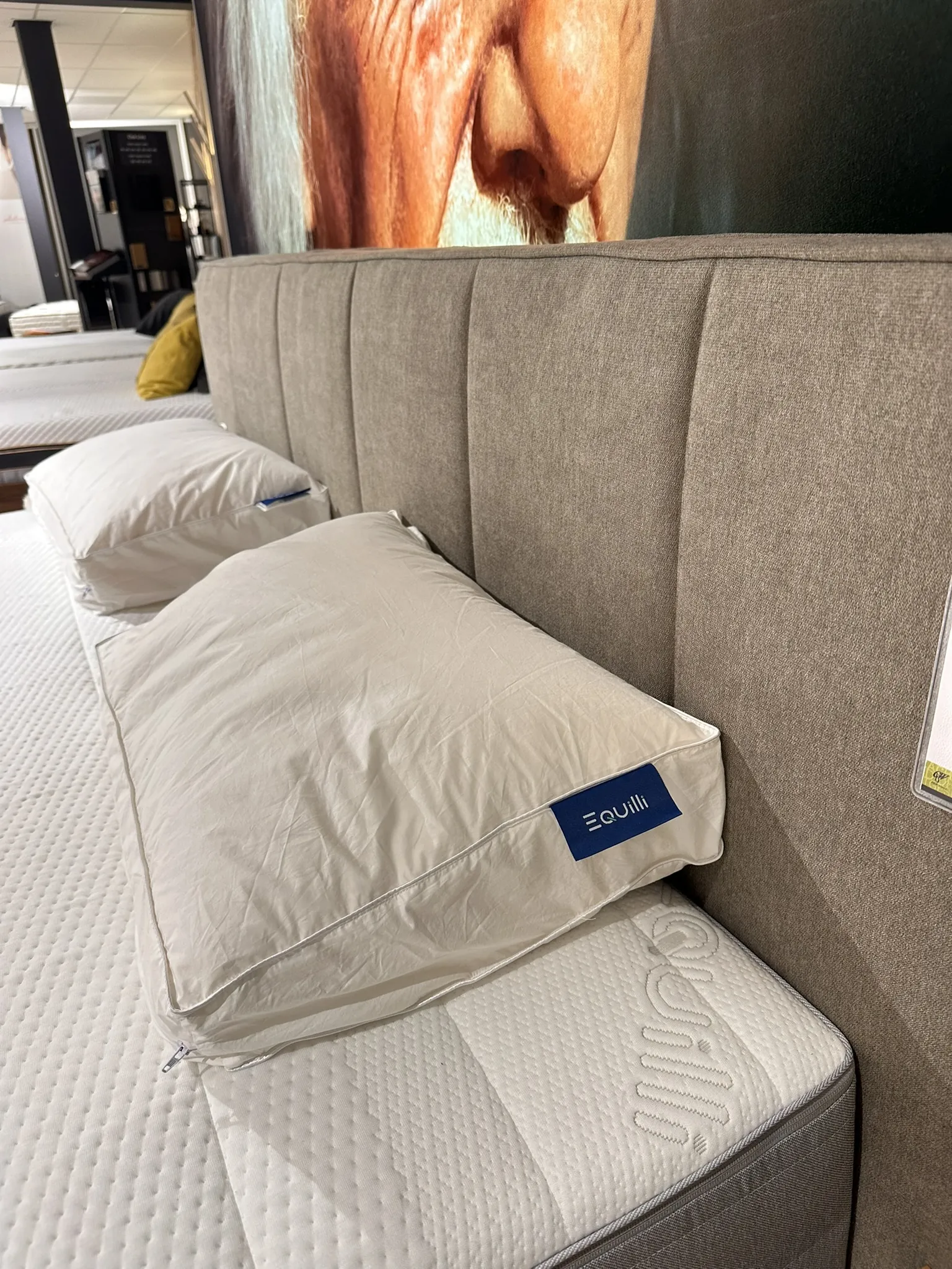 Equillie showroommodel inclusief matrassen